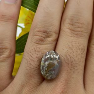 نگین شجر طبیعی کد ۱۲۰۸۰