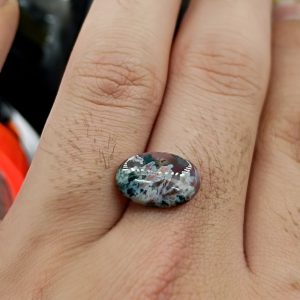 نگین شجر طبیعی کد ۱۲۰۸۱