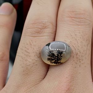 نگین شجر طبیعی کد ۱۲۰۸۲