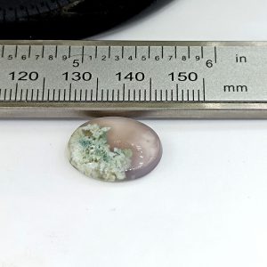 نگین شجر طبیعی کد ۱۲۰۸۳