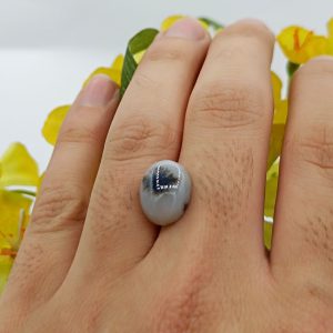 نگین شجر طبیعی کد ۱۲۰۸۴