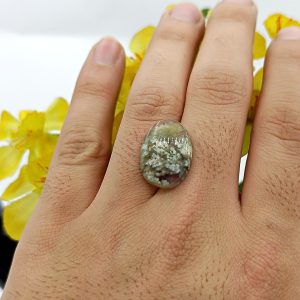 نگین شجر طبیعی کد ۱۲۰۸۵