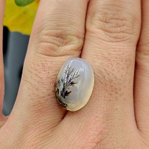 نگین شجر طبیعی کد ۱۲۰۸۶