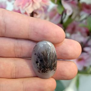 نگین شجر طبیعی کد ۱۲۰۸۷