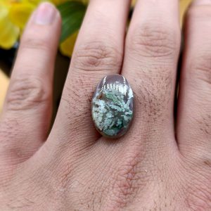 نگین شجر طبیعی کد ۱۲۰۸۸